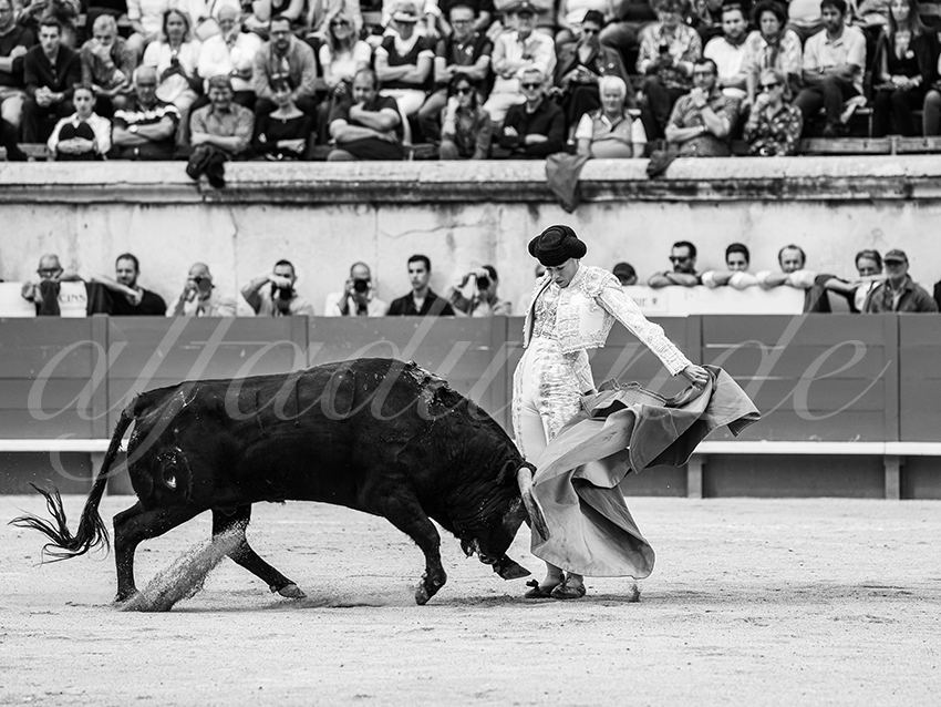 20250921 nimes nov by alfaduende 014