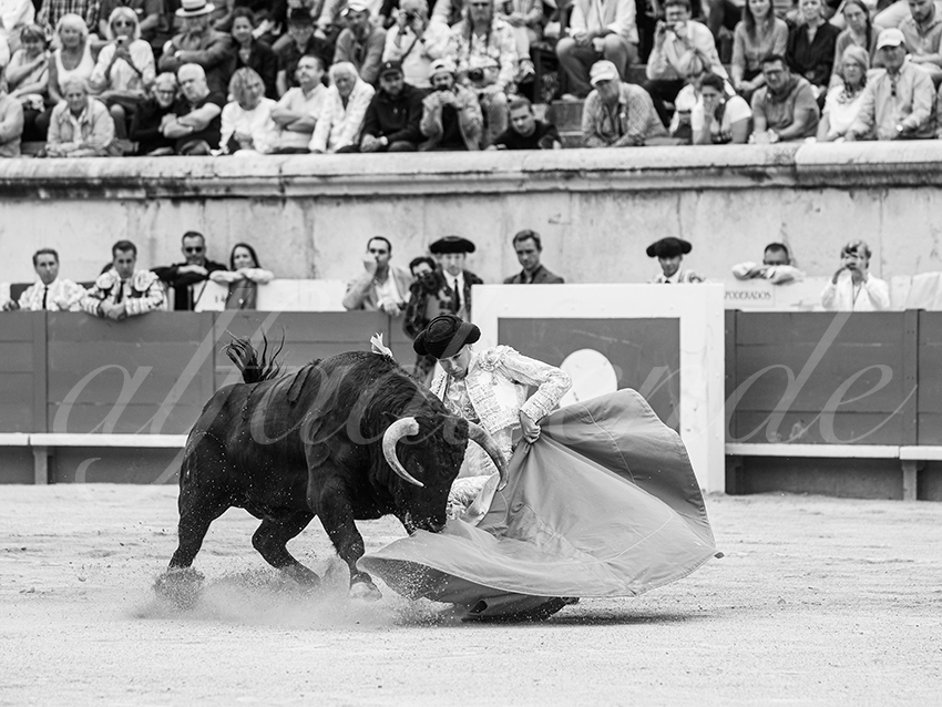 20250921 nimes nov by alfaduende 013