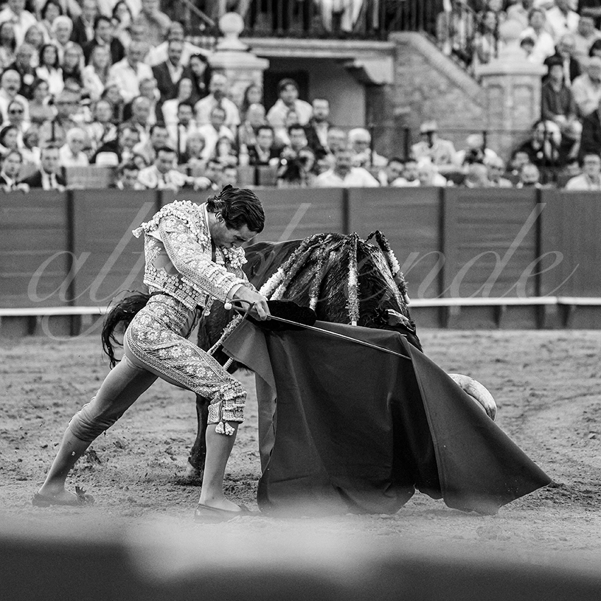 20250926 sevilla by alfaduende 010