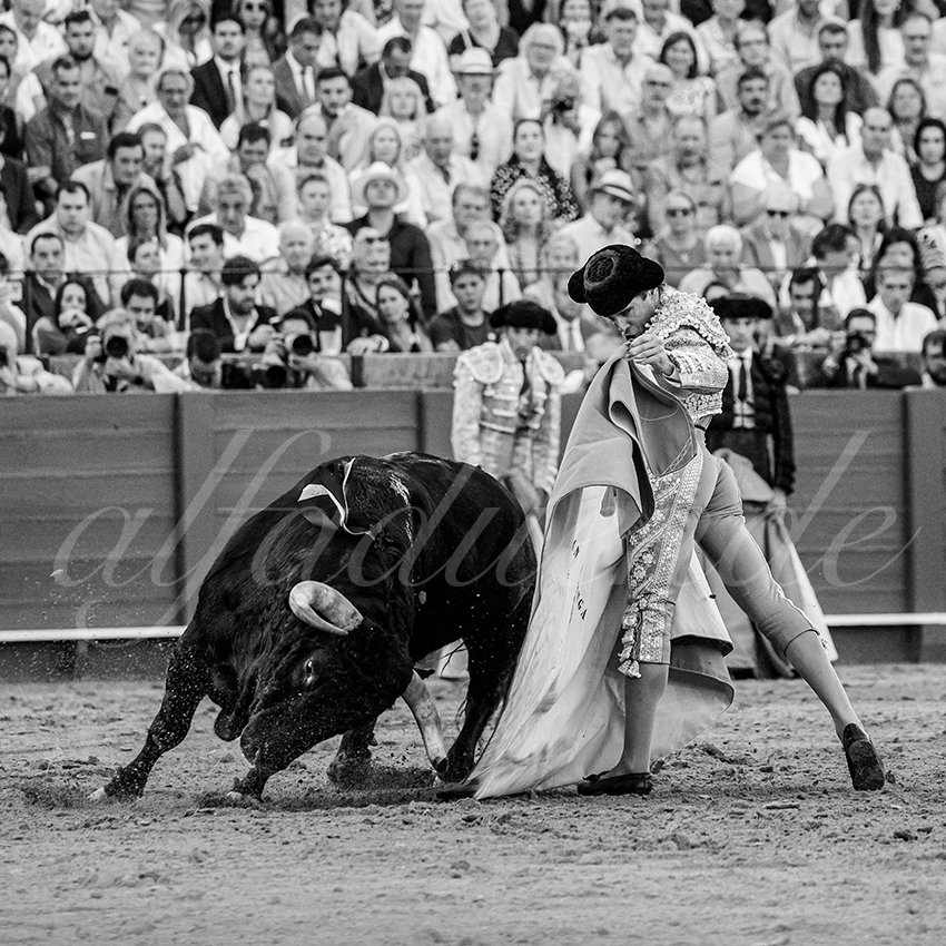 20250926 sevilla by alfaduende 008