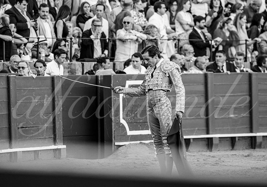 20250926 sevilla by alfaduende 006