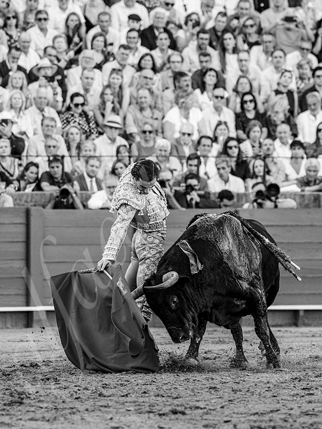 20250926 sevilla by alfaduende 005