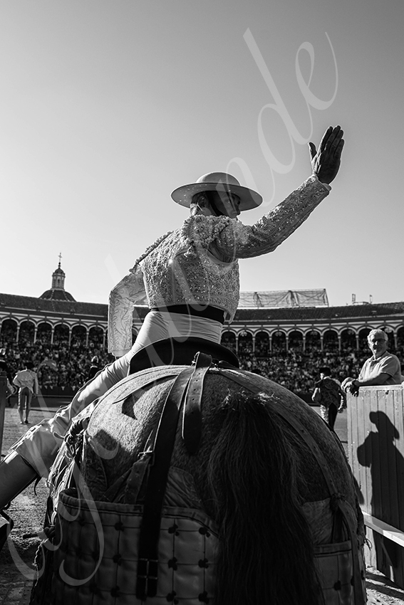 20250926 sevilla by alfaduende 001