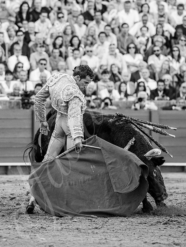 20250926 sevilla by alfaduende 024