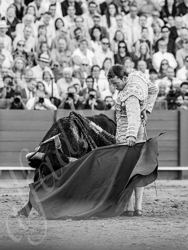 20250926 sevilla by alfaduende 023