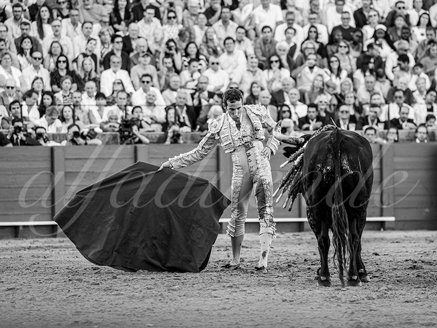 20250926 sevilla by alfaduende 022