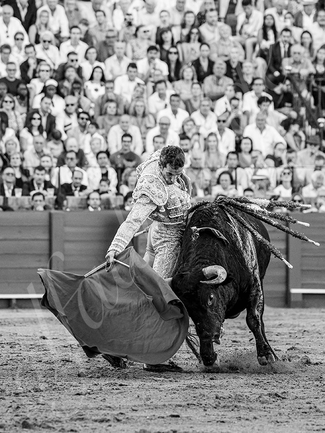 20250926 sevilla by alfaduende 021