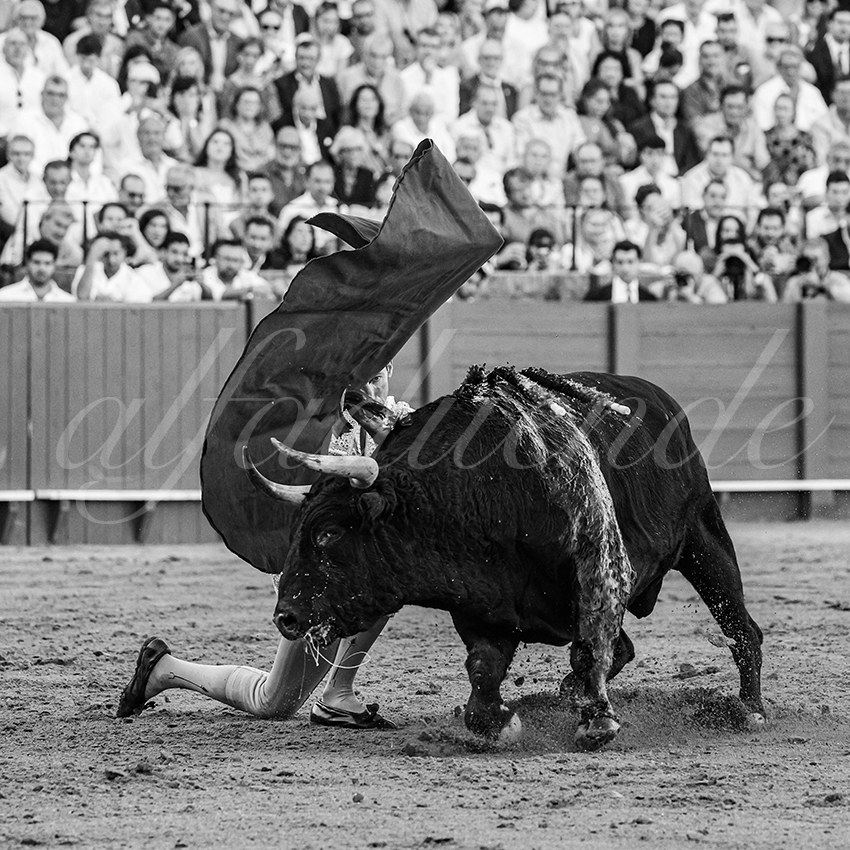 20250926 sevilla by alfaduende 020