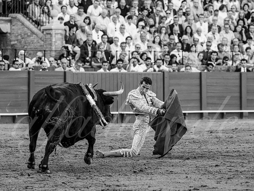 20250926 sevilla by alfaduende 019