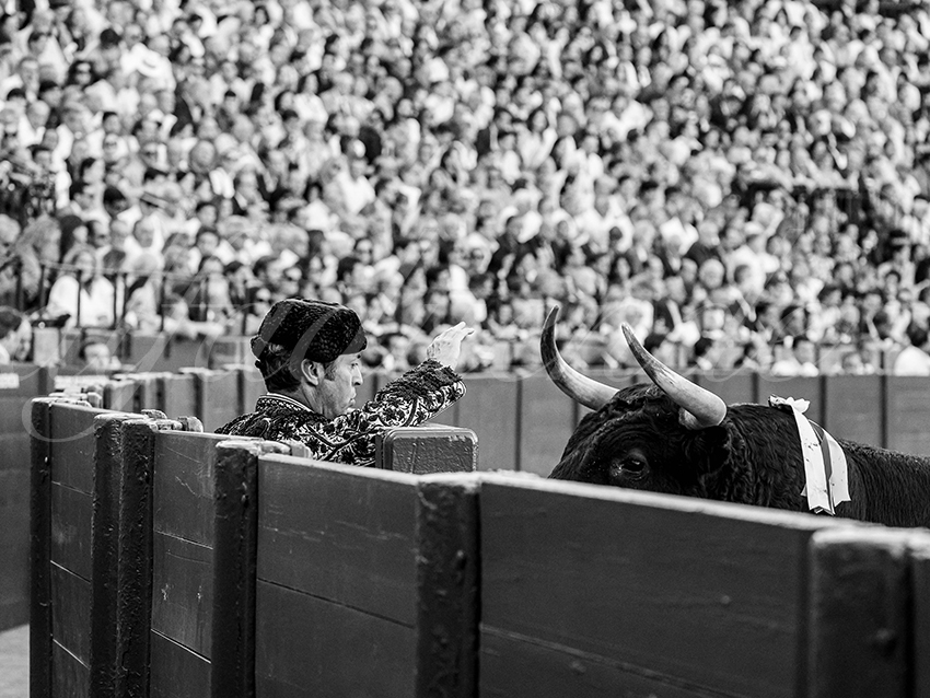 20250926 sevilla by alfaduende 018