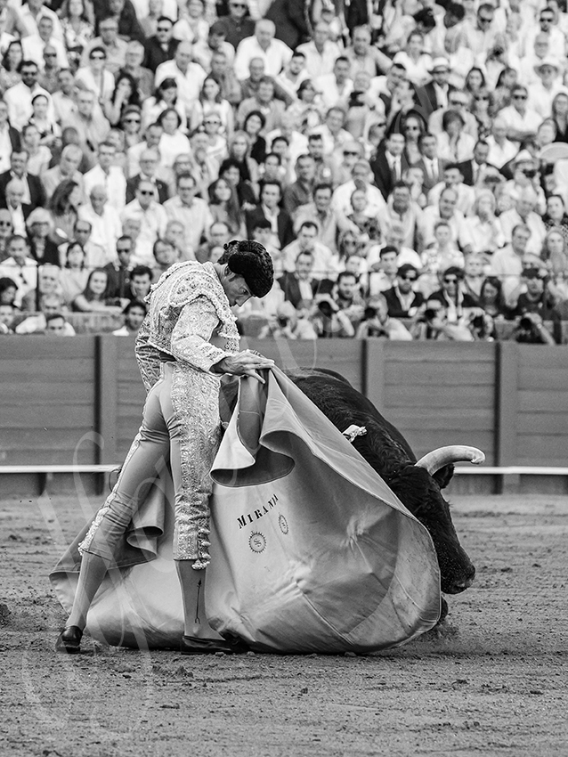 20250926 sevilla by alfaduende 017