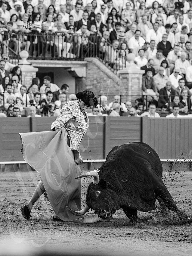 20250926 sevilla by alfaduende 016