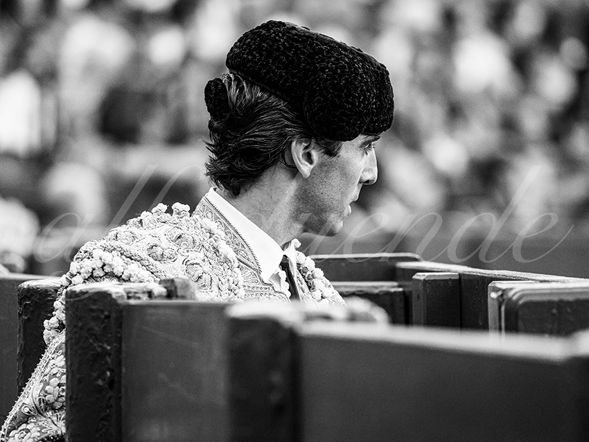 20250926 sevilla by alfaduende 015