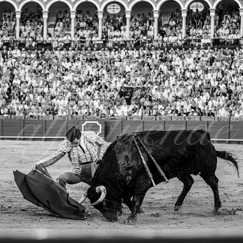 20250926 sevilla by alfaduende 014