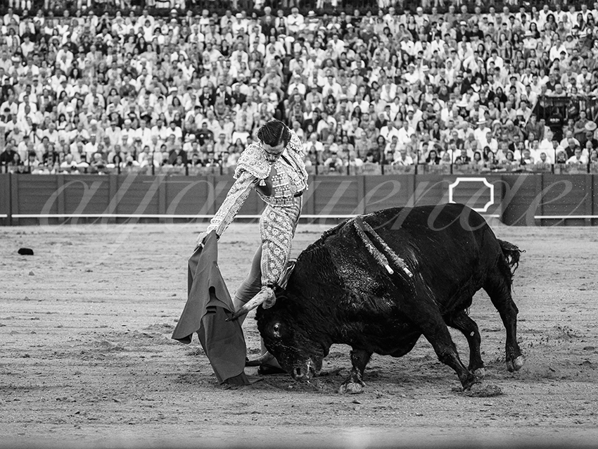 20250926 sevilla by alfaduende 013