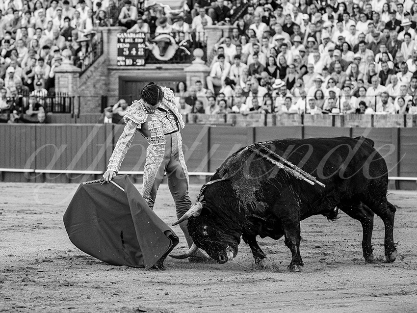 20250926 sevilla by alfaduende 012