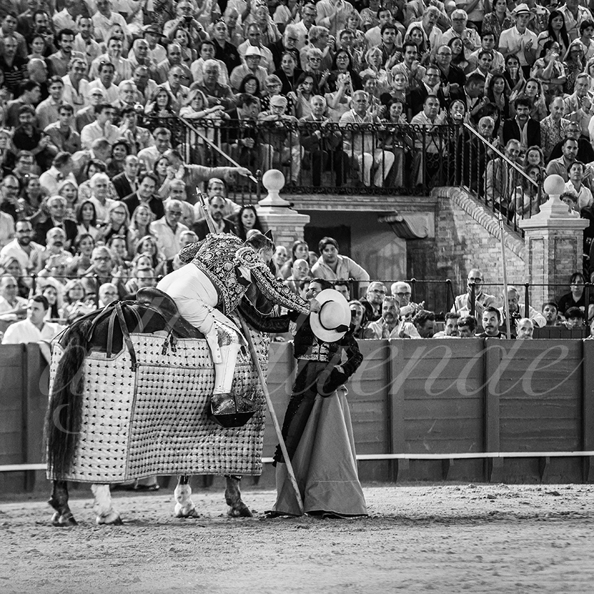 20250926 sevilla by alfaduende 034