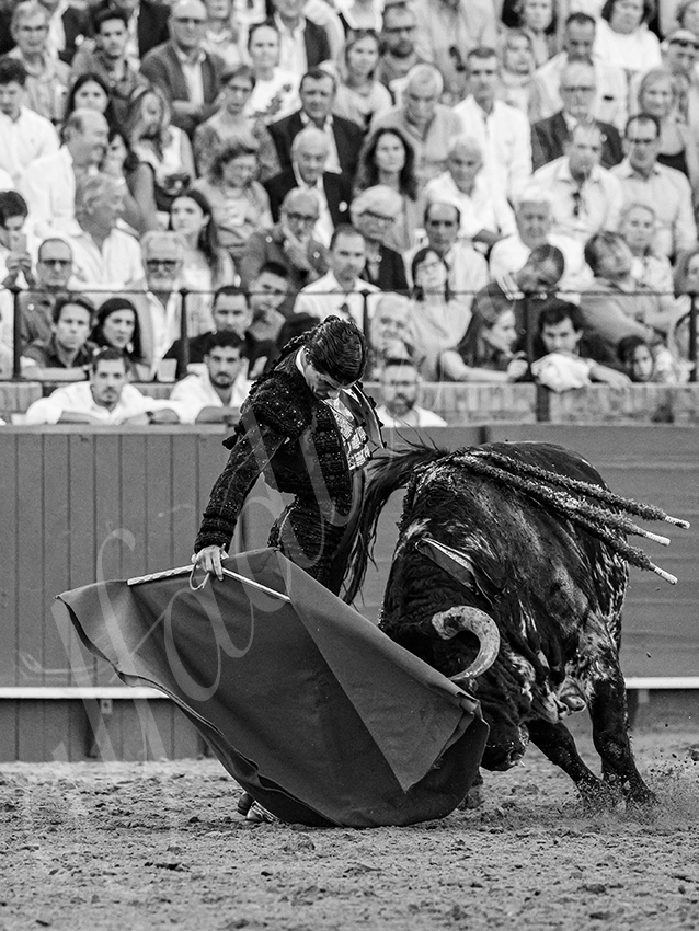 20250926 sevilla by alfaduende 033