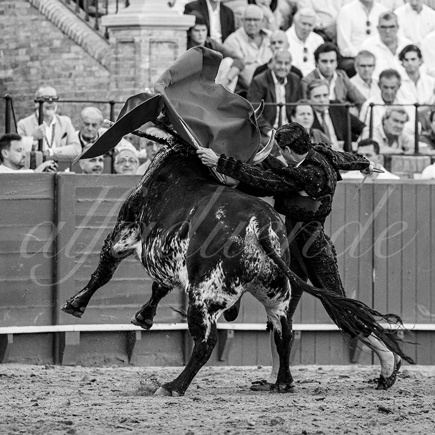 20250926 sevilla by alfaduende 032