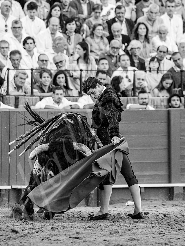 20250926 sevilla by alfaduende 031