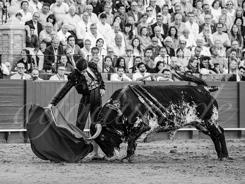 20250926 sevilla by alfaduende 030