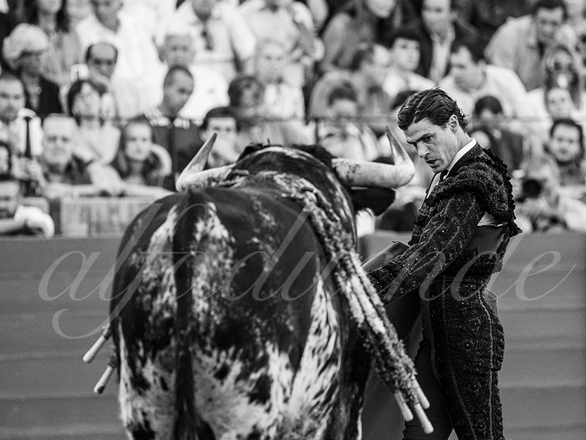 20250926 sevilla by alfaduende 029