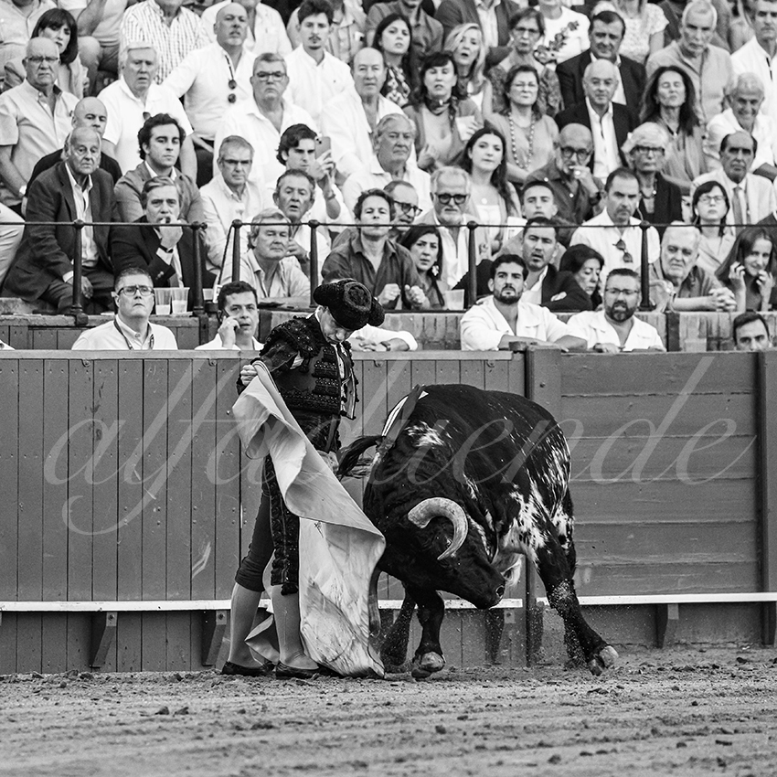 20250926 sevilla by alfaduende 028