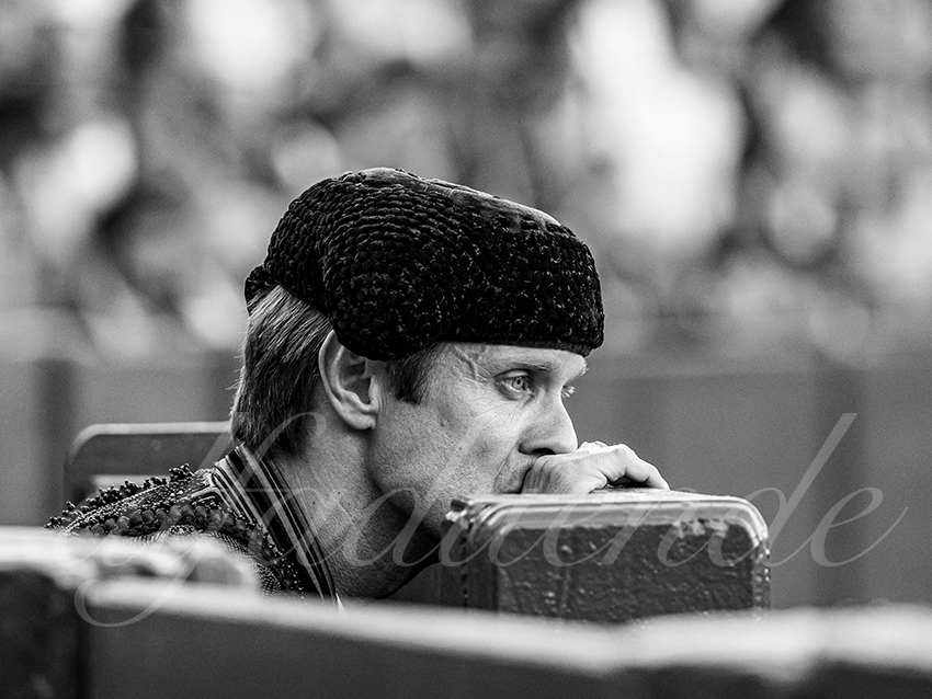 20250926 sevilla by alfaduende 027