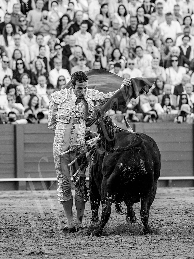 20250926 sevilla by alfaduende 026