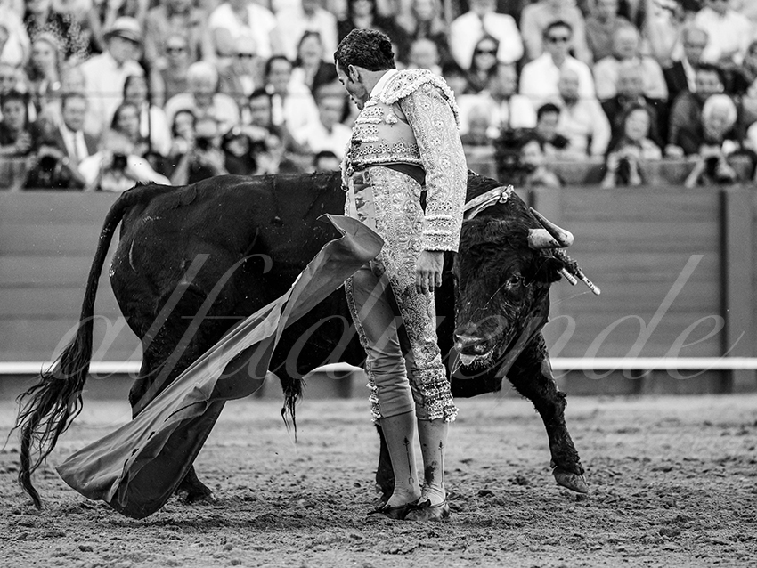 20250926 sevilla by alfaduende 025