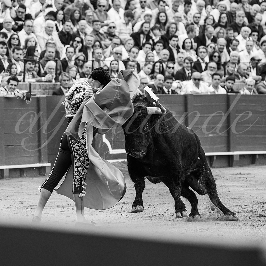 20250928 sevilla by alfaduende 012