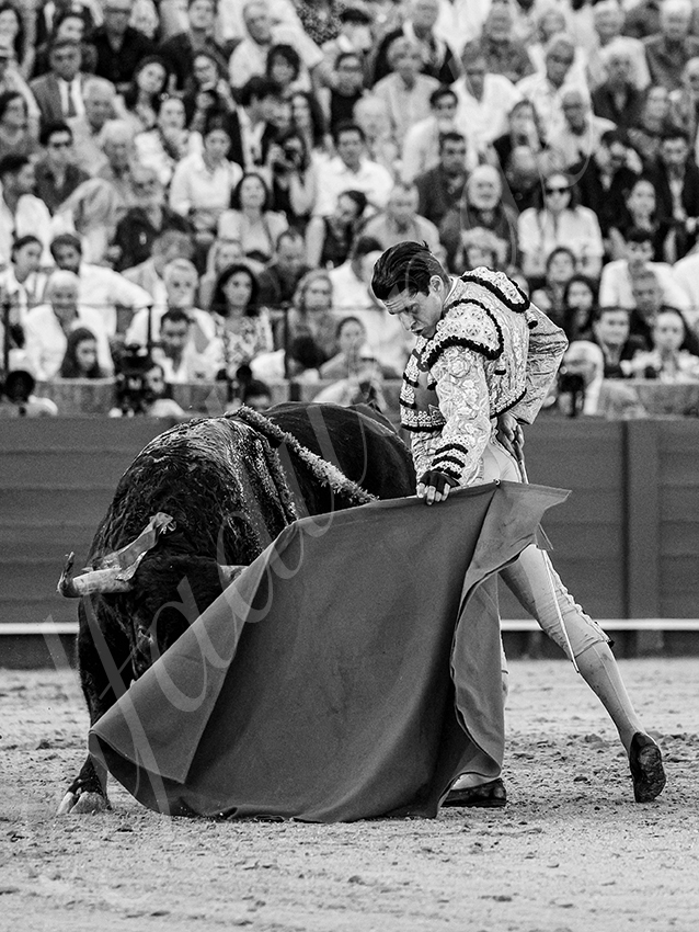 20250928 sevilla by alfaduende 010