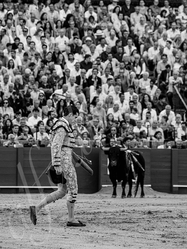 20250928 sevilla by alfaduende 009