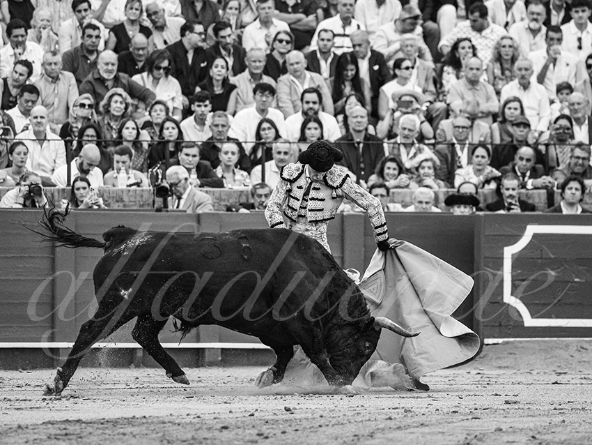 20250928 sevilla by alfaduende 007