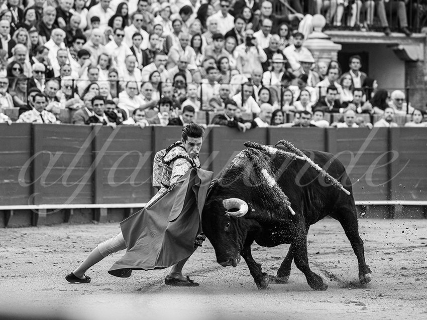 20250928 sevilla by alfaduende 006