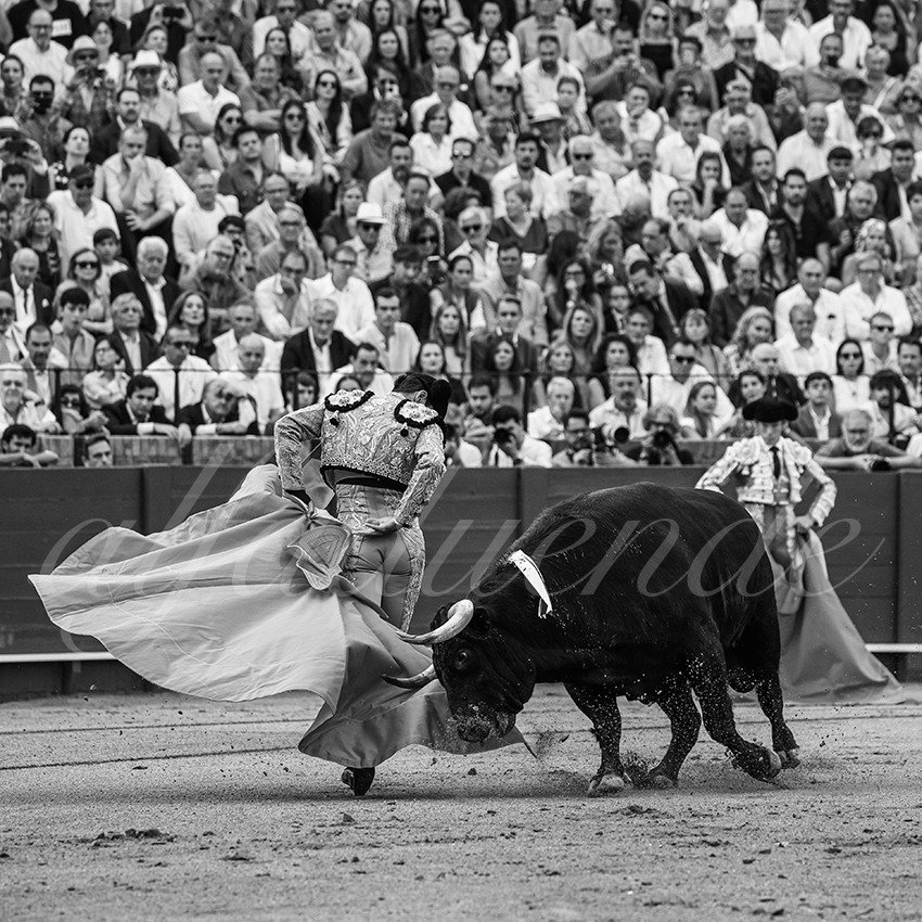 20250928 sevilla by alfaduende 005