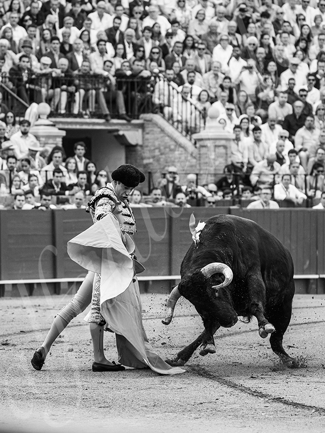 20250928 sevilla by alfaduende 004