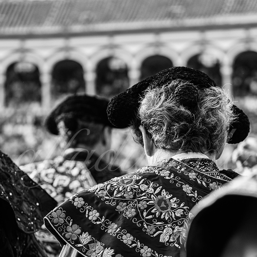 20250928 sevilla by alfaduende 002