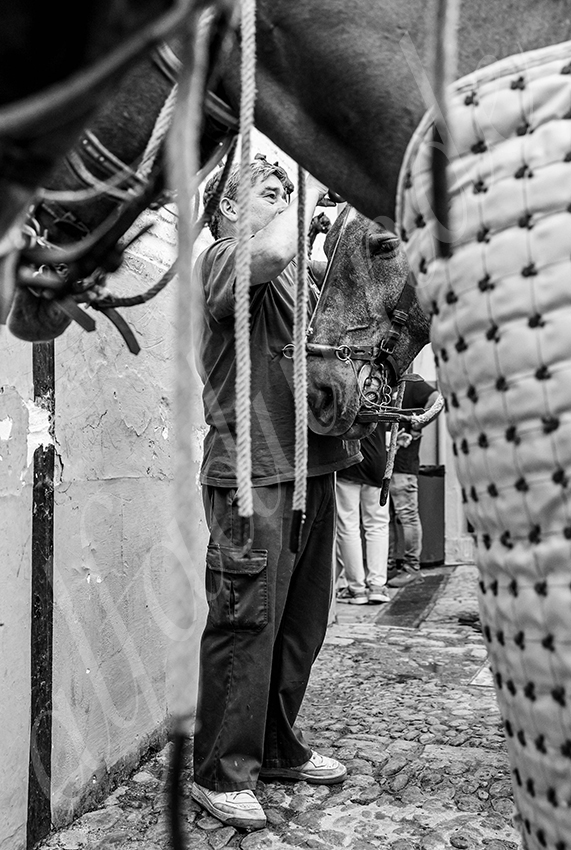 20250928 sevilla by alfaduende 001