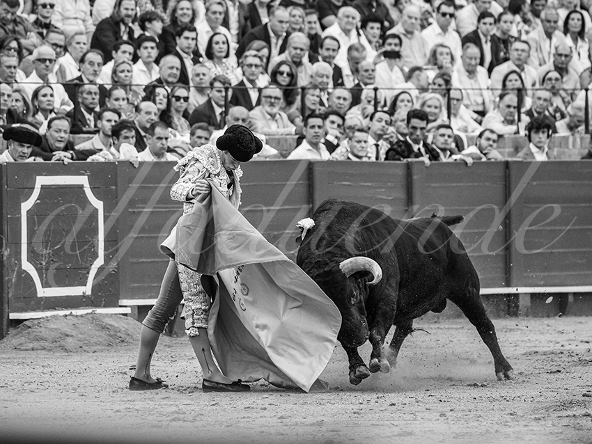 20250928 sevilla by alfaduende 026