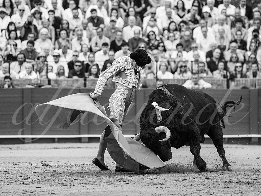 20250928 sevilla by alfaduende 025