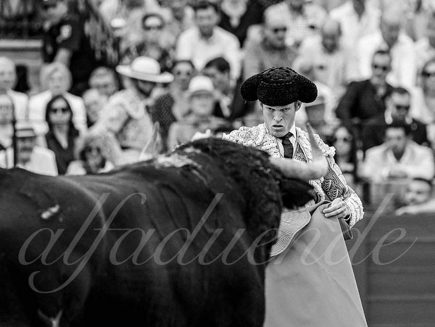 20250928 sevilla by alfaduende 024