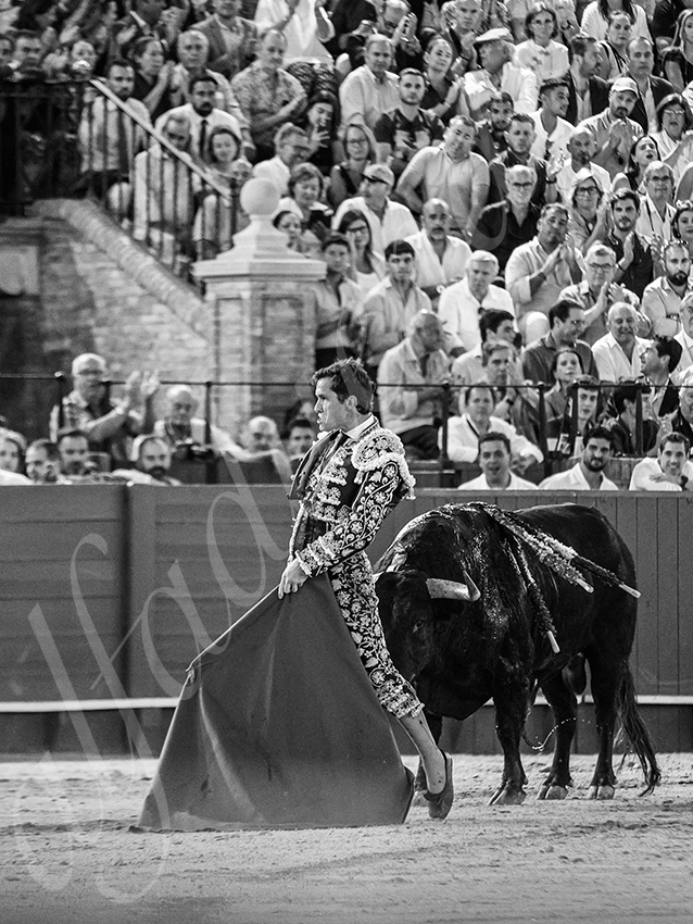 20250928 sevilla by alfaduende 022