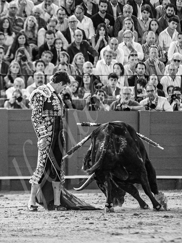 20250928 sevilla by alfaduende 021