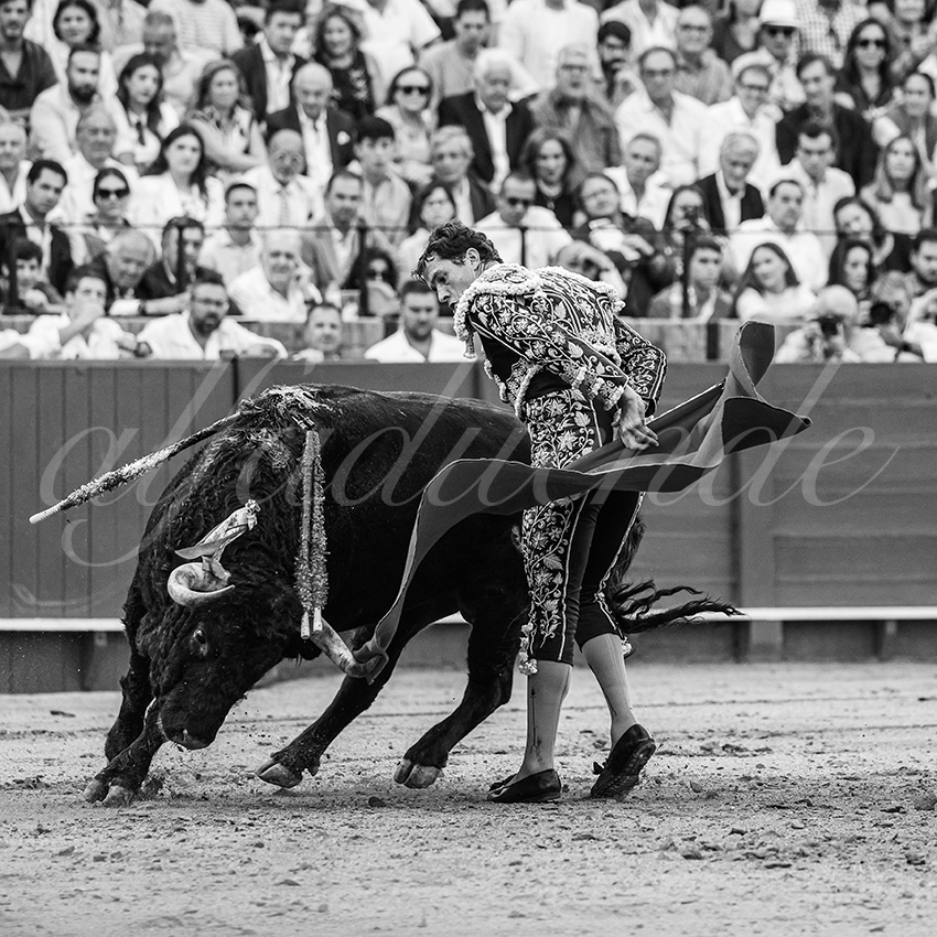 20250928 sevilla by alfaduende 020