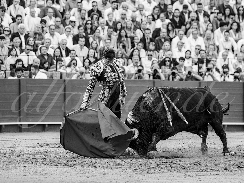 20250928 sevilla by alfaduende 019