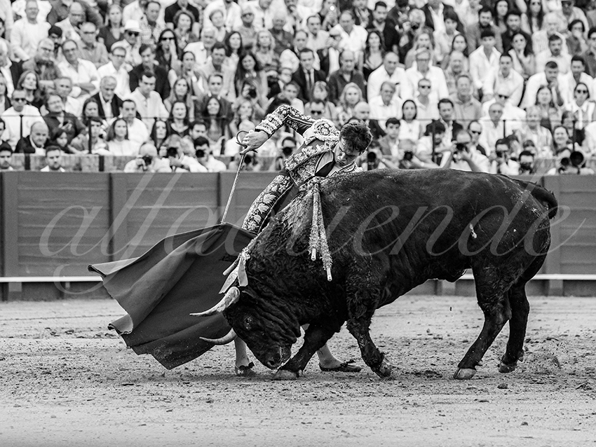 20250928 sevilla by alfaduende 018