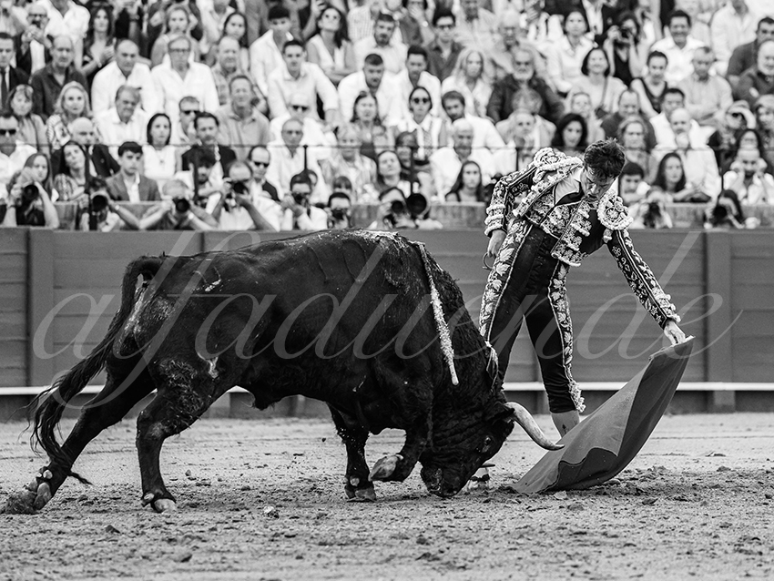 20250928 sevilla by alfaduende 017