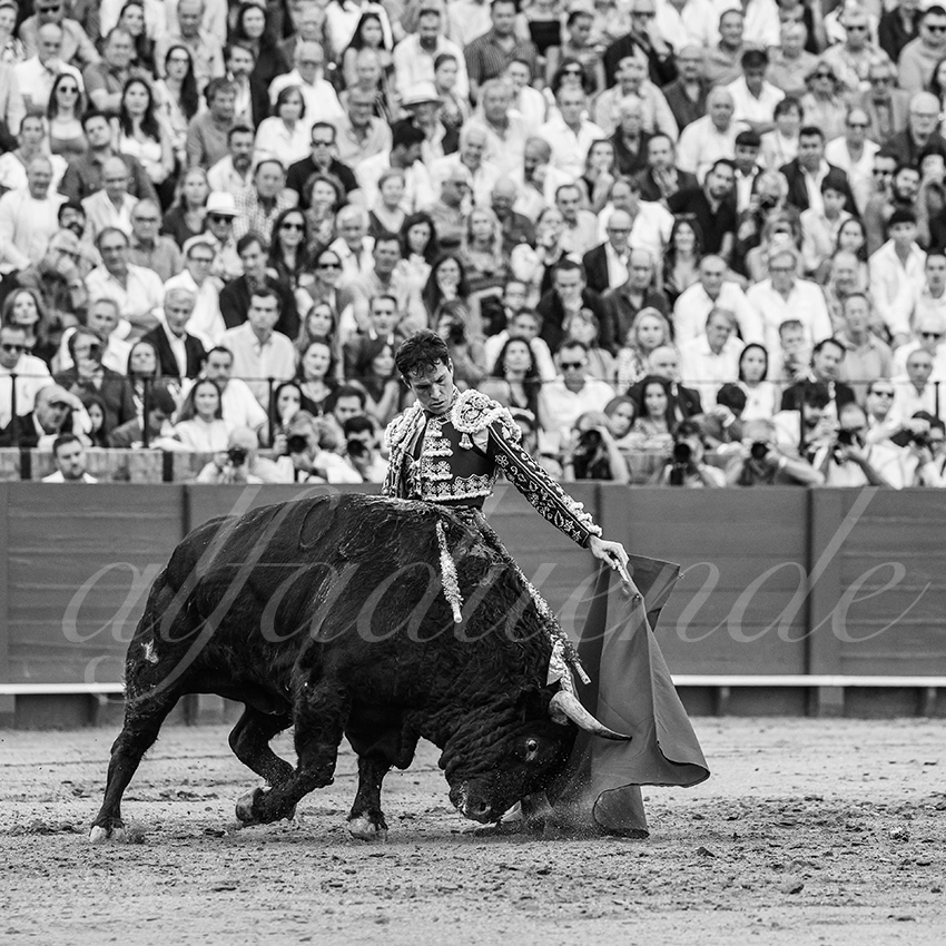 20250928 sevilla by alfaduende 016