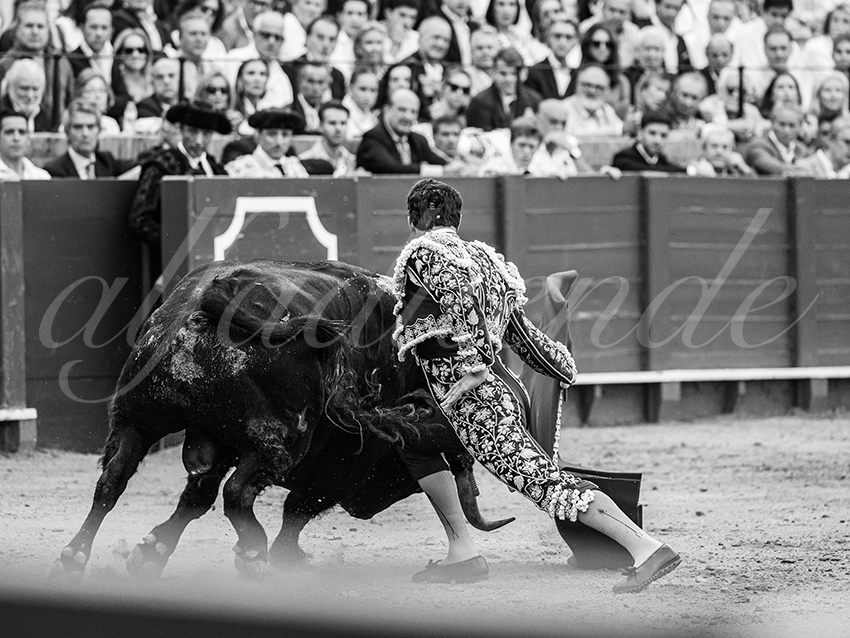 20250928 sevilla by alfaduende 015